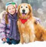 cainisipisici-int-01