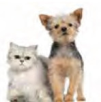 cainisipisici-int-08