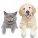 cainisipisici-int-09