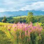 peisajeromanesti-int-02