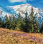 romaniapitoreasca-int-02