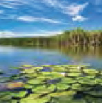 romaniapitoreasca-int-04