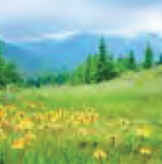 romaniapitoreasca-int-05