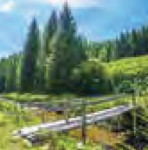 romaniapitoreasca-int-07