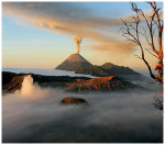 wildlanscapes-int_02