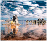 wildlanscapes-int_03