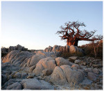 wildlanscapes-int_05