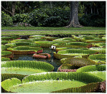 wildlanscapes-int_06