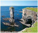 wildlanscapes-int_07