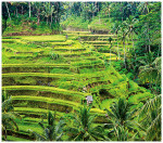 wildlanscapes-int_08