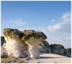 wildlanscapes-int_09