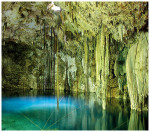 wildlanscapes-int_11